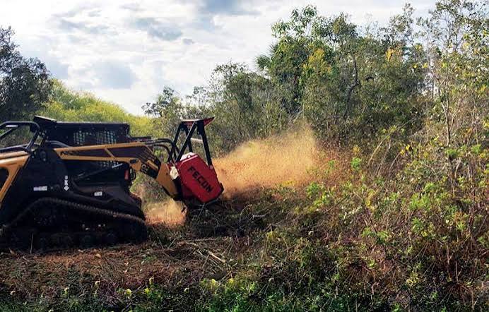 Fecon Blackhawk Mulching Head Rental
